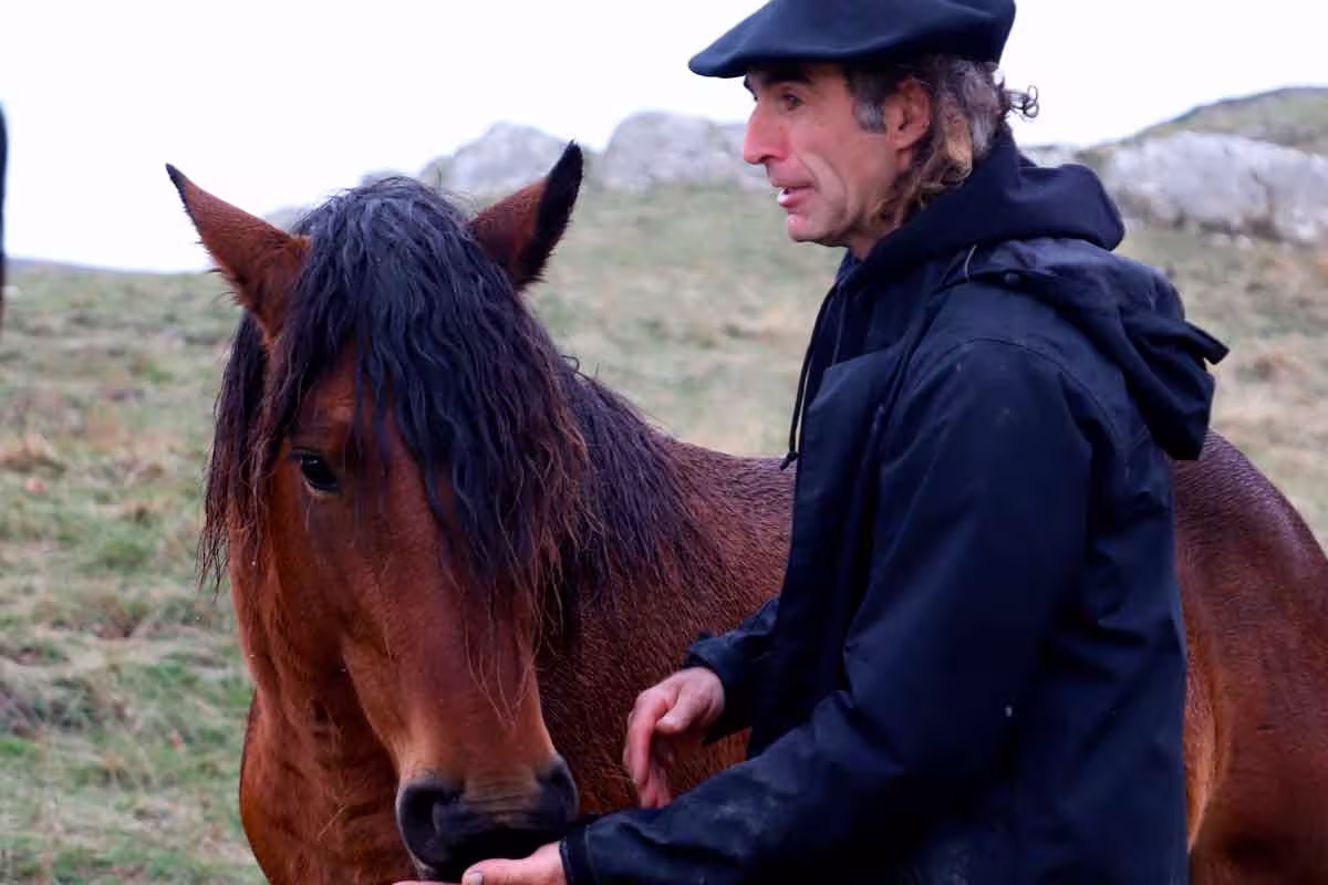 Zaldizko Aragia - Venta de potro ecológico Navarra