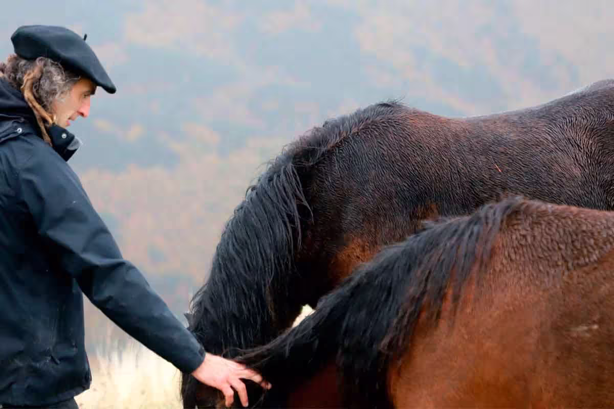 Zaldizko Aragia - Venta de potro ecológico Navarra